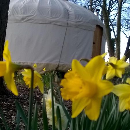 Gingerbread Cottage Yurts Dereham Exterior foto