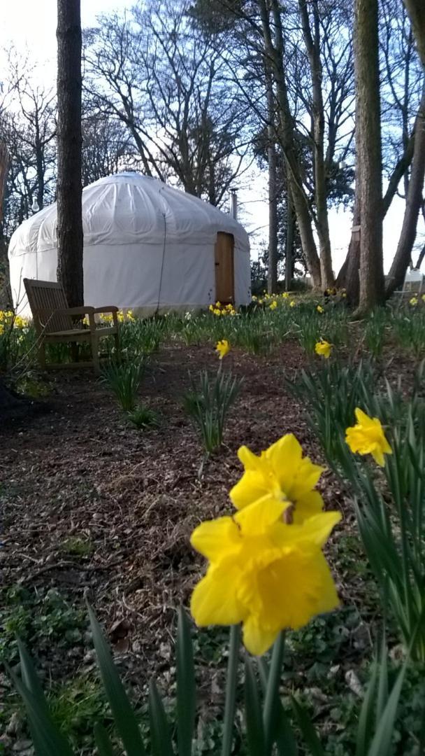 Gingerbread Cottage Yurts Dereham Exterior foto