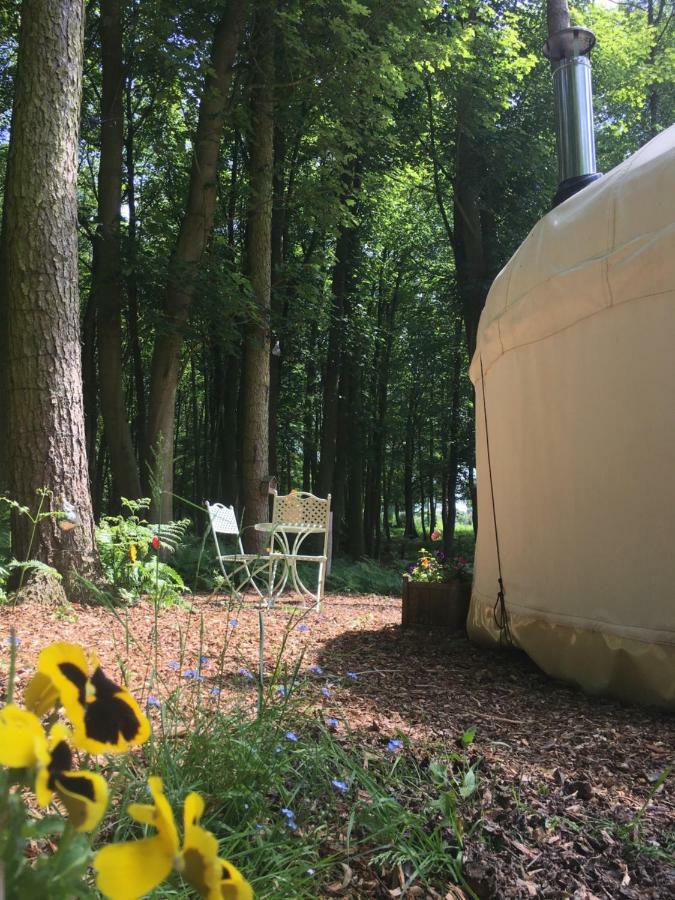 Gingerbread Cottage Yurts Dereham Exterior foto